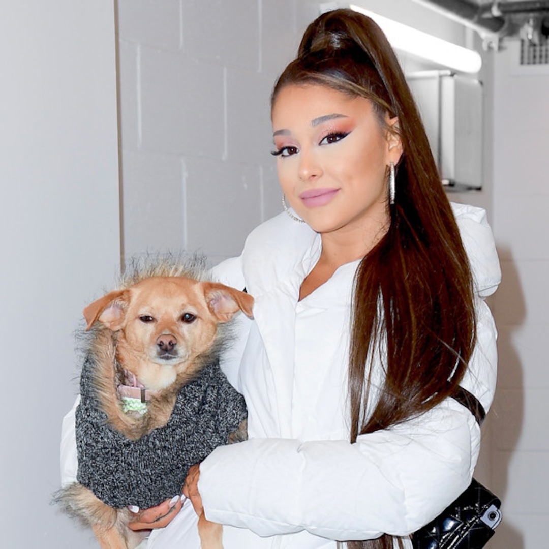 Ariana Grande Cynthia Erivo benefit concert The Cultural Cost of "Friendship Gossip": Fandom Reactions and TikTok Trends
